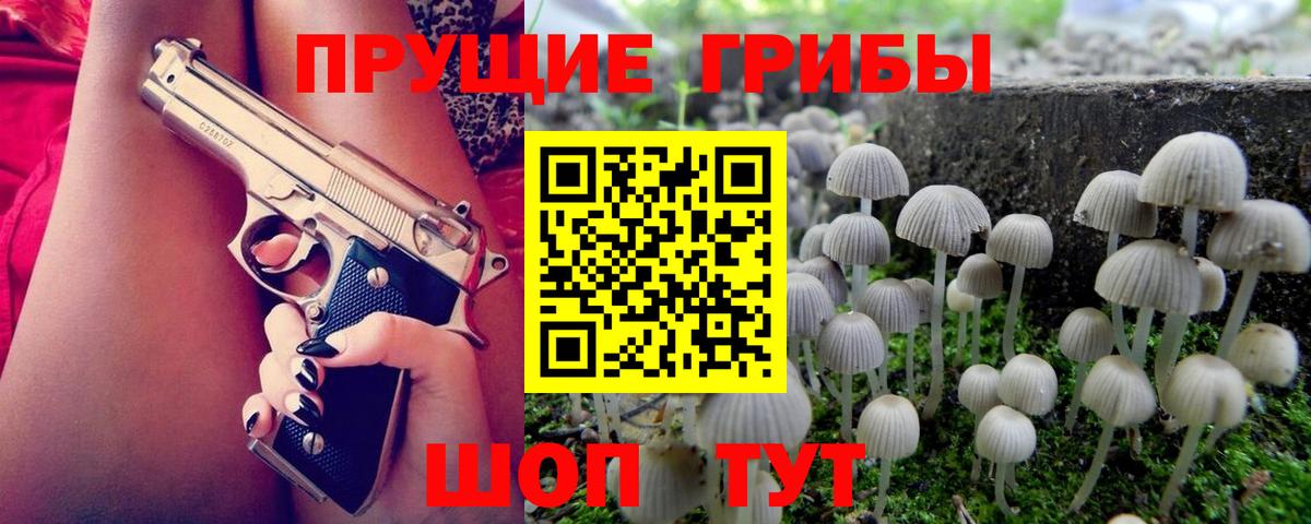 Галлюциногенные грибы мухоморы Чапаевск