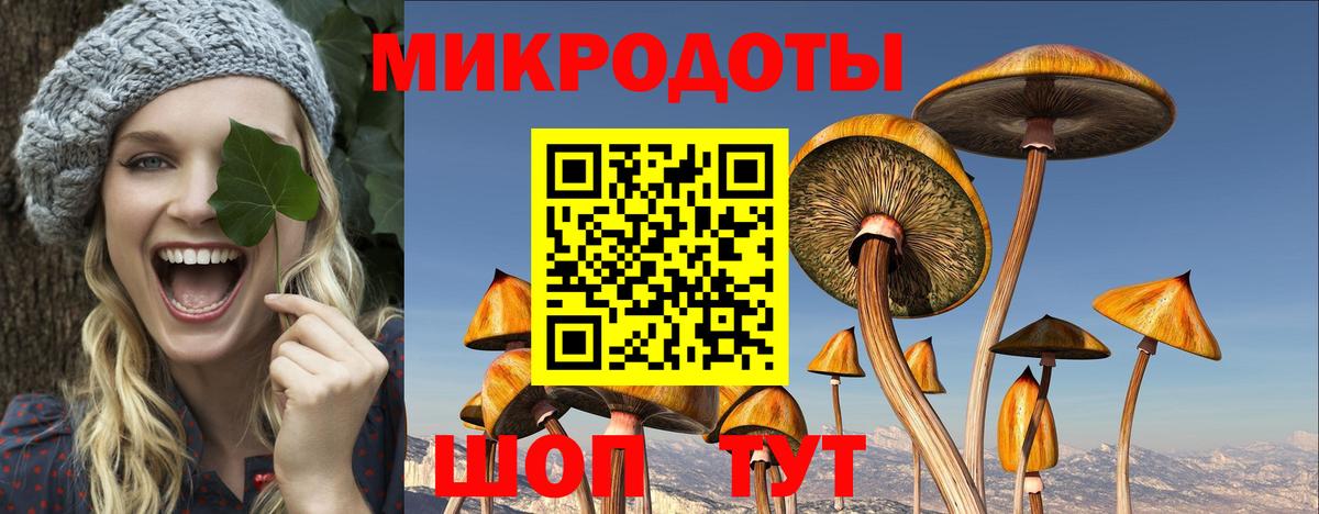даркнет сайт  Галлюциногенные грибы мицелий  Вход с VPN  Чапаевск  Псилоцибиновые грибы Cubensis 